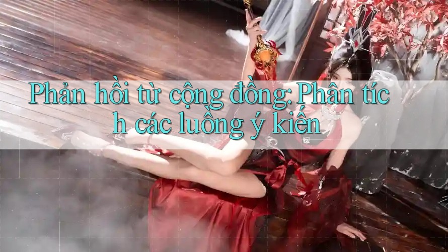 Phản hồi từ cộng đồng: Phân tích các luồng ý kiến