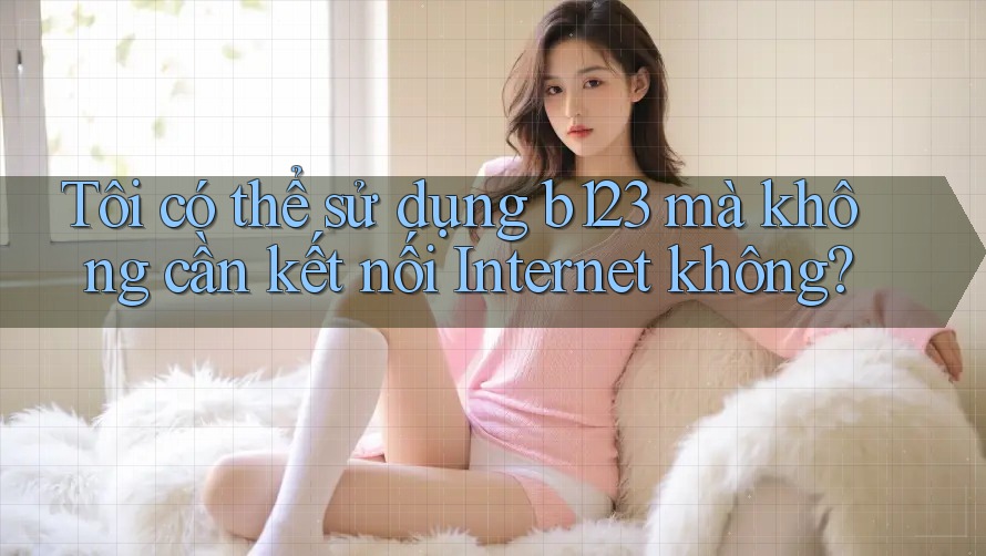 Tôi có thể sử dụng b123 mà không cần kết nối Internet không?