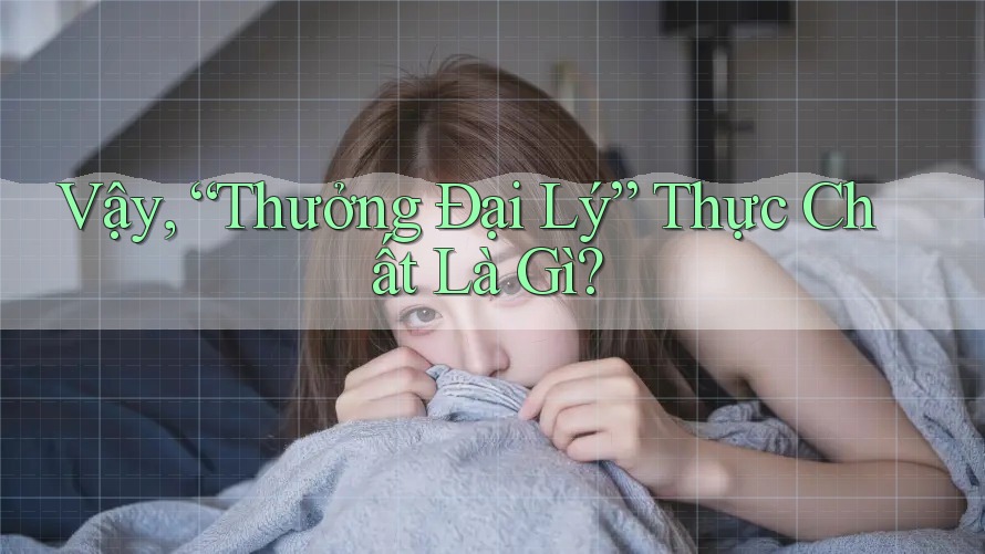 Vậy, “Thưởng Đại Lý” Thực Chất Là Gì? Vậy, “Thưởng Đại Lý” Thực Chất Là Gì?